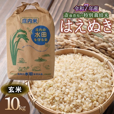 【令和7年産】斎藤農場の特別栽培米 はえぬき(玄米) 10kg×1袋 [K-7114]