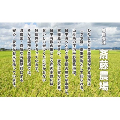斎藤農場の つや姫 パックごはん 180g×36食 無菌包装米飯 [K-761]