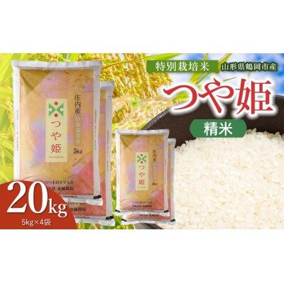 【令和8年産】斎藤農場の特別栽培米つや姫精米20kg(5kg×4) [K-8165]