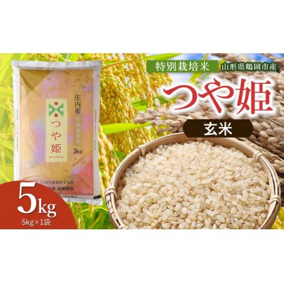 【令和8年産】斎藤農場の特別栽培米つや姫玄米5kg [K-837]