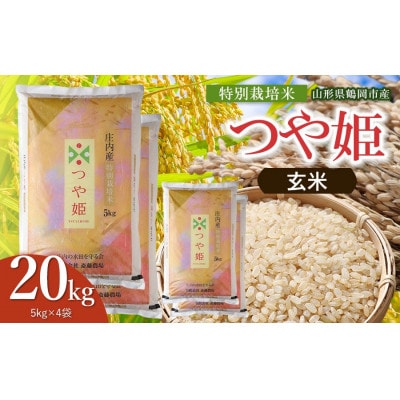 【令和8年産】斎藤農場の特別栽培米つや姫玄米20kg(5kg×4) [K-8150]