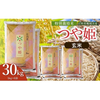 【令和8年産】斎藤農場の特別栽培米つや姫玄米30kg(5kg×6) [K-8222]