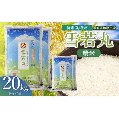 【令和8年産】斎藤農場の特別栽培米雪若丸精米20kg(5kg×4)[K-8165]