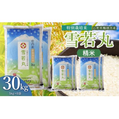 【令和8年産】斎藤農場の特別栽培米雪若丸精米30kg(5kg×6)[K-8240]