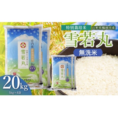 【令和8年産】斎藤農場の特別栽培米雪若丸無洗米20kg(5kg×4)[K-8165]