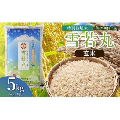 【令和8年産】斎藤農場の特別栽培米雪若丸玄米5kg [K-837]