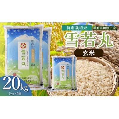 【令和8年産】斎藤農場の特別栽培米雪若丸玄米20kg(5kg×4) [K-8150]