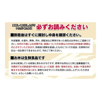 【令和8年産】斎藤農場の特別栽培米雪若丸玄米20kg(5kg×4) [K-8150]