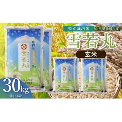 【令和8年産】斎藤農場の特別栽培米雪若丸玄米30kg(5kg×6) [K-8222]