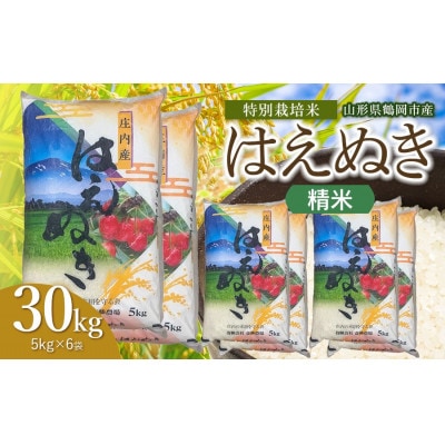 【令和8年産】斎藤農場の特別栽培米はえぬき精米30kg(5kg×6) [K-8222]