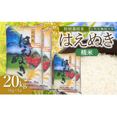 【令和8年産】斎藤農場の特別栽培米はえぬき精米20kg(5kg×4) [K-8150]