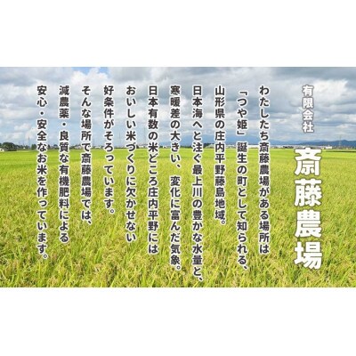 【令和8年産】斎藤農場の特別栽培米はえぬき精米20kg(5kg×4) [K-8150]