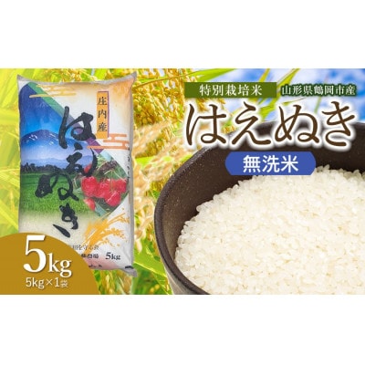 【令和8年産】斎藤農場の特別栽培米はえぬき無洗米5kg [K-837]