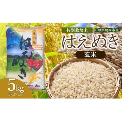 【令和8年産】斎藤農場の特別栽培米はえぬき玄米5kg [K-834]