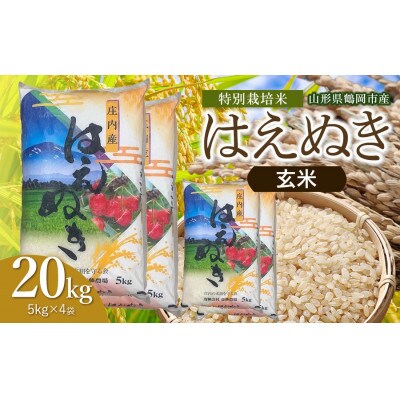 【令和8年産】斎藤農場の特別栽培米はえぬき玄米20kg(5kg×4) [K-8138]