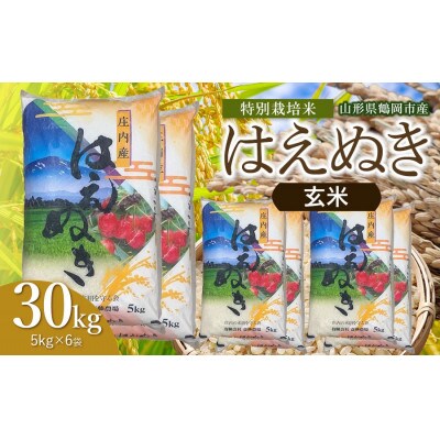 【令和8年産】斎藤農場の特別栽培米はえぬき玄米30kg(5kg×6) [K-8204]