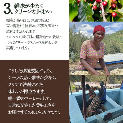千一珈琲 コーヒー豆「ルワンダ」87g [K-710]