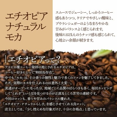 千一珈琲 コーヒー豆「エチオピアナチュラルモカ」91g [K-710]