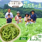 【令和7年分　先行受付】山形県鶴岡産　農家小池半左衛門の朝採りだだちゃ豆【白山】1.5kg