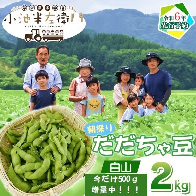 山形県鶴岡産（枝豆）だだちゃ豆3kg