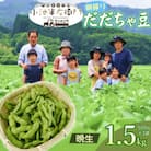 【令和7年分　先行受付】山形県鶴岡産　農家小池半左衛門の朝採りだだちゃ豆【晩生】1.5kg