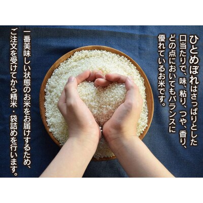 【令和5年産】山形県庄内産 小池半左衛門のお米　ひとめぼれ 精米 5kg×2袋 計10kg
