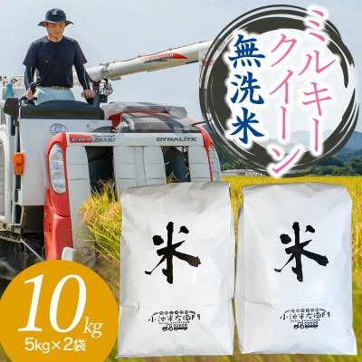 【令和6年産】山形県庄内産 小池半左衛門のお米 ミルキークイーン 無洗米 5kg×2袋 計10kg