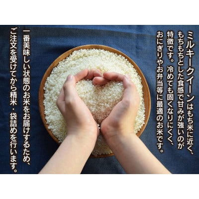 【令和6年産】山形県庄内産 小池半左衛門のお米 ミルキークイーン 精米 5kg×2袋 計10kg