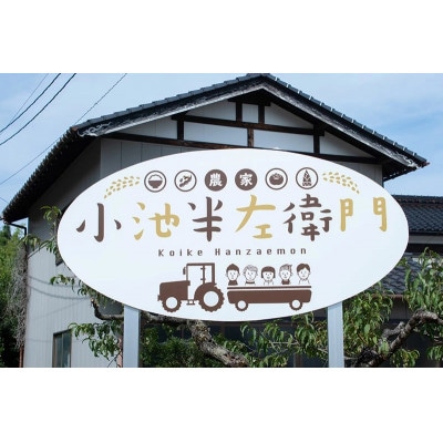 【令和6年産】山形県庄内産 小池半左衛門のお米 ミルキークイーン 精米 5kg×2袋 計10kg