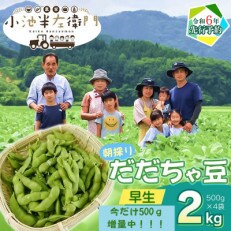 今だけ増量中!【令和6年分　先行受付】山形県鶴岡産　農家小池半左衛門の朝採りだだちゃ豆【早生】2kg