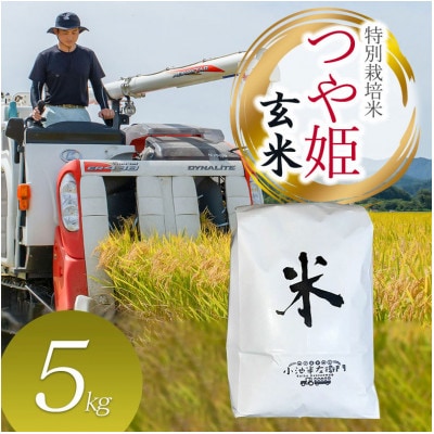 数量限定【令和7年産】山形県庄内産 小池半左衛門のお米 特別栽培米 つや姫【玄米】5kg