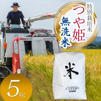 数量限定【令和7年産】山形県庄内産 小池半左衛門のお米 特別栽培米 つや姫【無洗米】5kg