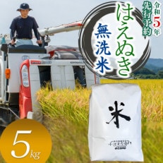 数量限定【令和5年産】山形県庄内産 小池半左衛門のお米 はえぬき【無洗米】5kg