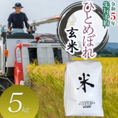 数量限定【令和5年産】 山形県庄内産 小池半左衛門のお米 ひとめぼれ【玄米】5kg