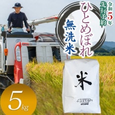 数量限定【令和5年産】山形県庄内産 小池半左衛門のお米 ひとめぼれ【無洗米】5kg