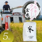 数量限定【令和7年産】山形県庄内産 小池半左衛門のお米 ミルキークイーン【玄米】 5kg
