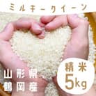 数量限定【令和7年産】山形県庄内産 小池半左衛門のお米 ミルキークイーン【精米】5kg