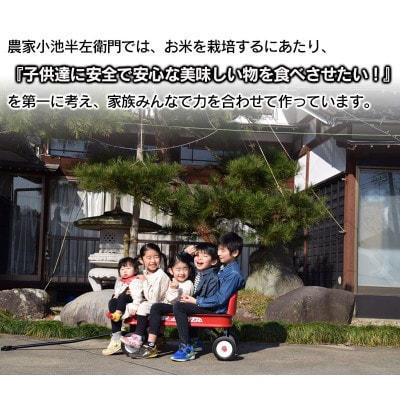【令和6年産】山形県庄内産 小池半左衛門のお米 特別栽培米 つや姫 精米 5kg×2袋 計10kg
