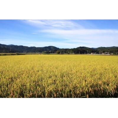 【令和4年産】富樫農園の特別栽培米つや姫7kg　精米　A04-018