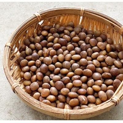 富樫農園の朝採りだだちゃ豆【7月下旬順次発送】2kg(500g×4袋)早生甘露・甘露　K-742