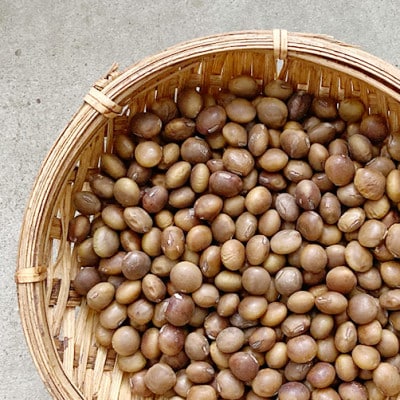 富樫農園の朝採りだだちゃ豆【8月下旬順次発送】2kg(500g×4)晩成甘露・おうら　K-742