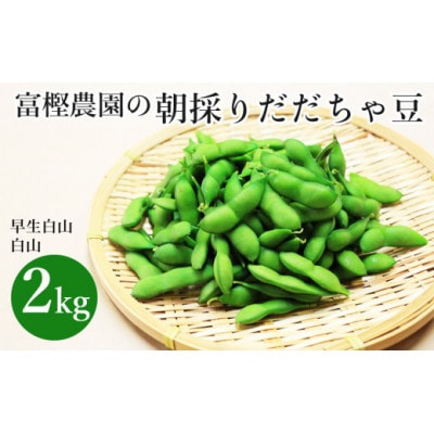 富樫農園の朝採りだだちゃ豆【8月中旬順次発送】2kg(500g×4)早生白山・白山　K-742