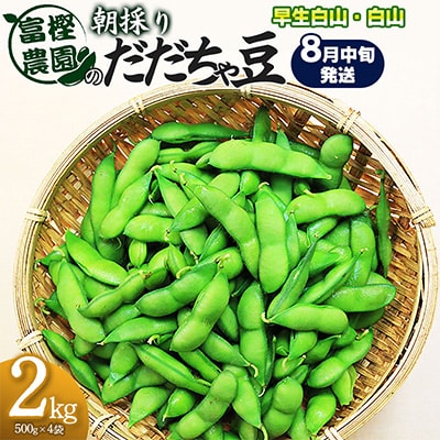 富樫農園の朝採りだだちゃ豆【8月中旬発送】2㎏(500g×4袋)早生白山・白山?[K-842]