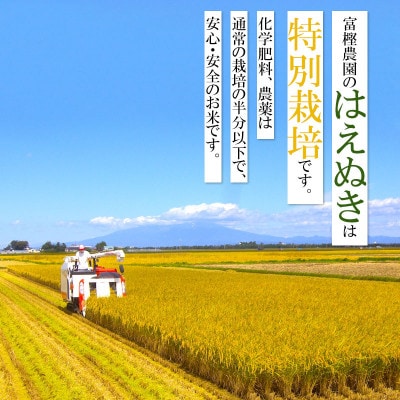 【令和5年産】富樫農園の特別栽培米はえぬき10kg　精米　A15-008