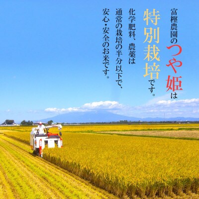 【令和5年産】富樫農園の特別栽培米つや姫玄米5kg　Y05-004