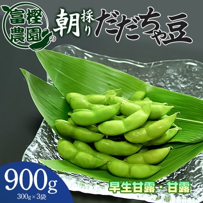 富樫農園の朝採りだだちゃ豆【8月上旬発送】900g(300g×3袋)早生甘露・甘露 [K-820]
