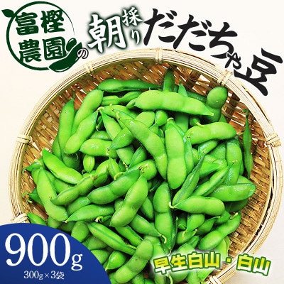 富樫農園の朝採りだだちゃ豆【8月中旬発送】900g(300g×3袋)早生白山・白山 [K-820]