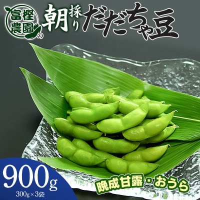 富樫農園の朝採りだだちゃ豆【8月下旬発送】900g(300g×3袋)晩生甘露・おうら [K-820]