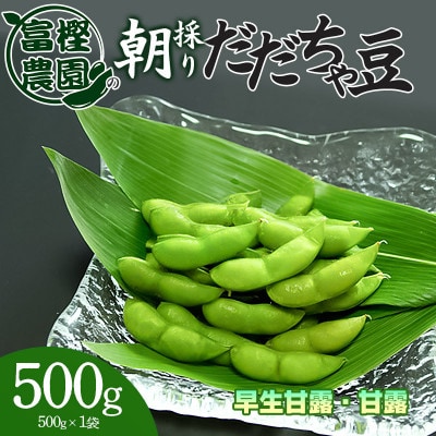 富樫農園の朝採りだだちゃ豆【8月上旬発送】500g 早生甘露・甘露 [K-812]