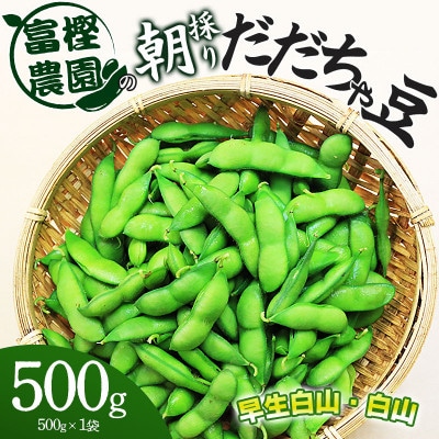 富樫農園の朝採りだだちゃ豆【8月中旬発送】500g 早生白山・白山 [K-812]
